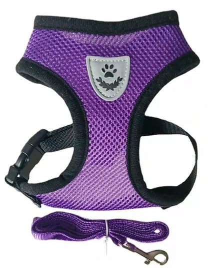 Arnés y correa de malla transpirable de nailon para perros y gatos, chaleco, arnés para perros pequeños, gatitos y gatos, accesorios para mascotas.