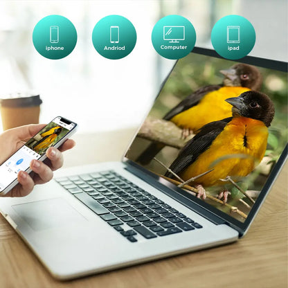 Cámara para comedero de pájaros 4MP 2K HD, captura de vídeo de aves, WiFi, alimentación solar, visión nocturna, observación de aves, alertas instantáneas