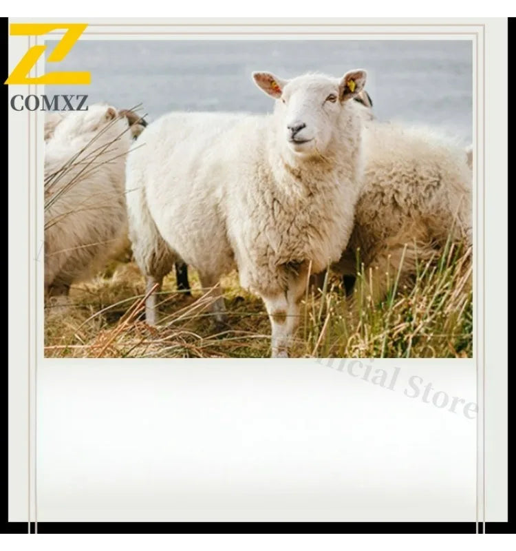 Abrigo de lana de doble faz para hombre, colección invierno 2025, estilo clásico informal de negocios, con solapa de muesca. Gabardina premium de largo medio.