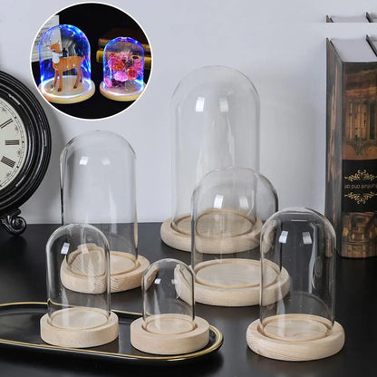 Soporte de exhibición de frasco de vidrio cloche, cubierta de terrario, botella con base de madera, cubierta de acrílico antipolvo, caja de exhibición, caja de flores inmortal