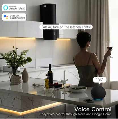 Tira LED COB inteligente ZigBee 3.0 Wifi Tuya de 5V con luz USB, cinta LED neón con regulador de intensidad, controlador LED compatible con Alexa, lámpara de armario, decoración