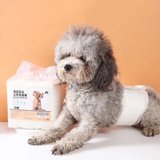 Nuevo pañal impermeable para mascotas, ropa interior para perras, pantalones sanitarios, pantalones cortos fisiológicos, pantalones para cachorros