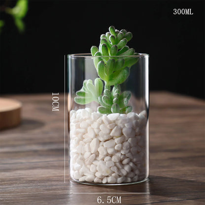 Maceta de vidrio para escritorio con plantas hidropónicas, florero de vidrio transparente, florero cilíndrico para dormitorio, decoración del hogar