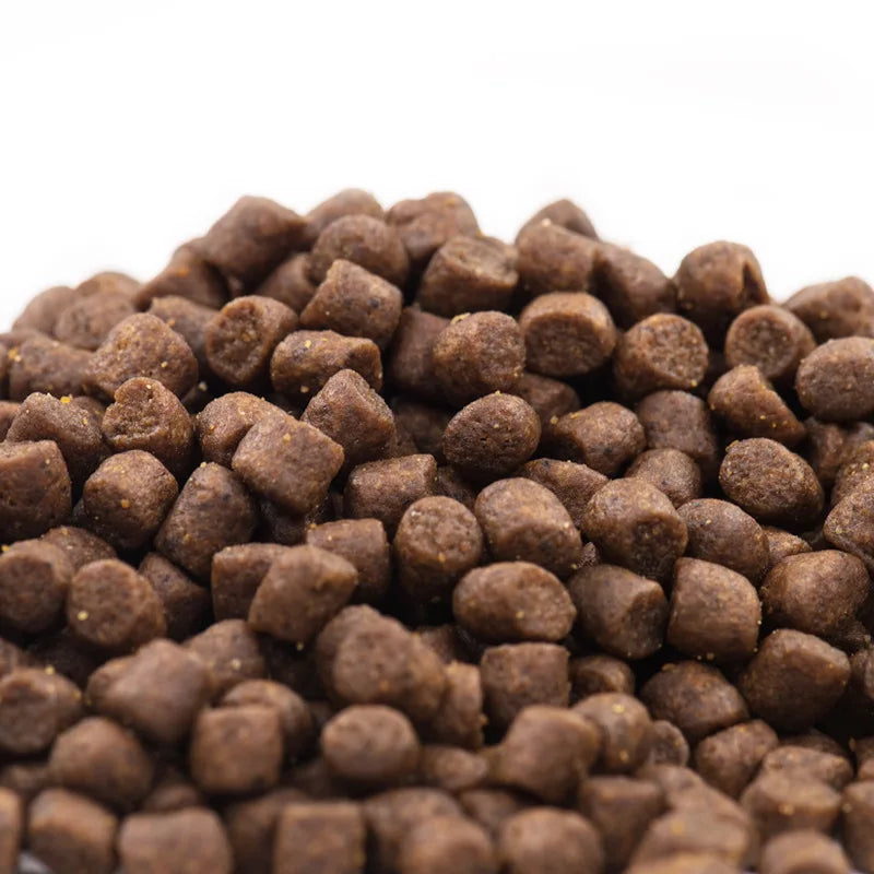 Alimento para perros adultos Teddy Bear Bichon Golden Retriever, precio completo, sin cereales, alimento general para perros pequeños