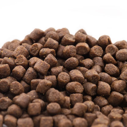 Alimento para perros adultos Teddy Bear Bichon Golden Retriever, precio completo, sin cereales, alimento general para perros pequeños