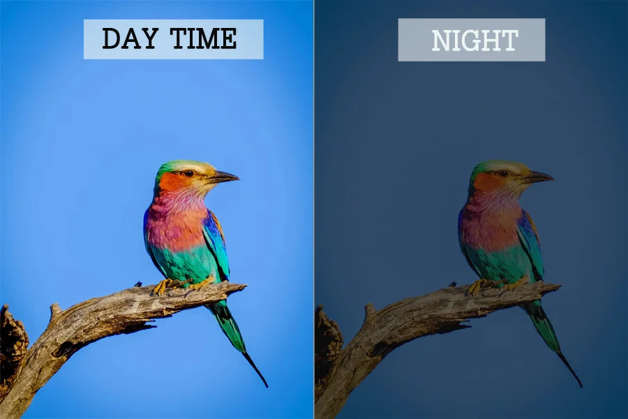 Cámara para comedero de pájaros 4MP 2K HD, captura de vídeo de aves, WiFi, alimentación solar, batería con panel solar, alertas instantáneas, observación de aves