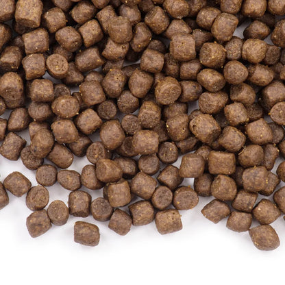 Alimento para perros adultos Teddy Bear Bichon Golden Retriever, precio completo, sin cereales, alimento general para perros pequeños