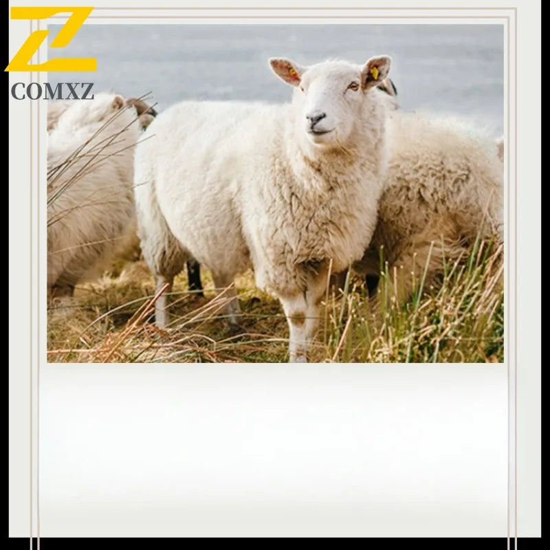 Abrigo de lana de doble faz para hombre, colección invierno 2025, estilo clásico informal de negocios, con solapa de muesca. Gabardina premium de largo medio.