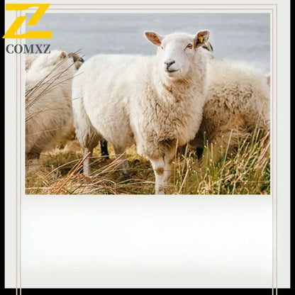 Abrigo de lana de doble faz para hombre, colección invierno 2025, estilo clásico informal de negocios, con solapa de muesca. Gabardina premium de largo medio.