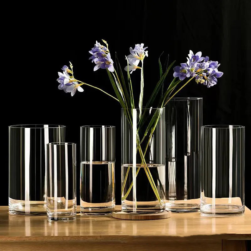 Maceta de vidrio para escritorio con plantas hidropónicas, florero de vidrio transparente, florero cilíndrico para dormitorio, decoración del hogar