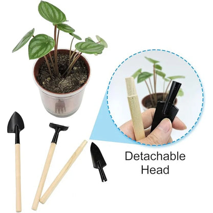 6 herramientas de jardinería para uso doméstico, adecuadas para cultivar verduras, mejorar la estética del jardín y organizar plantas en macetas pequeñas.