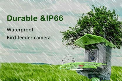 Cámara para comedero de pájaros 4MP 2K HD, captura de vídeo de aves, WiFi, alimentación solar, batería con panel solar, alertas instantáneas, observación de aves