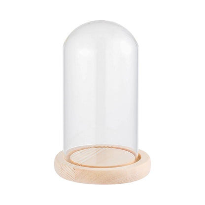 Soporte de exhibición de frasco de vidrio cloche, cubierta de terrario, botella con base de madera, cubierta de acrílico antipolvo, caja de exhibición, caja de flores inmortal