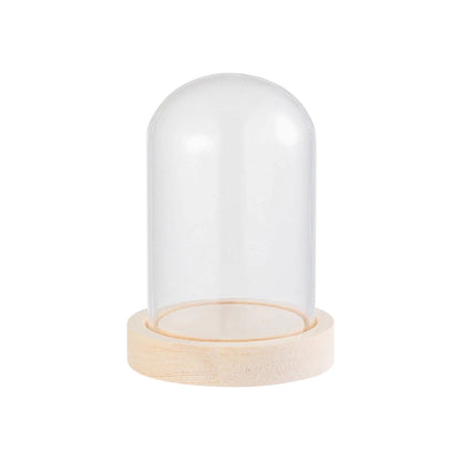 Soporte de exhibición de frasco de vidrio cloche, cubierta de terrario, botella con base de madera, cubierta de acrílico antipolvo, caja de exhibición, caja de flores inmortal