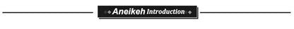 Aneikeh Patent Leather Gladiator Golden Sexy Hollow Out Sandals Party Shoes 2025 Fashion Night Club High Heel Strap Womens 35-40