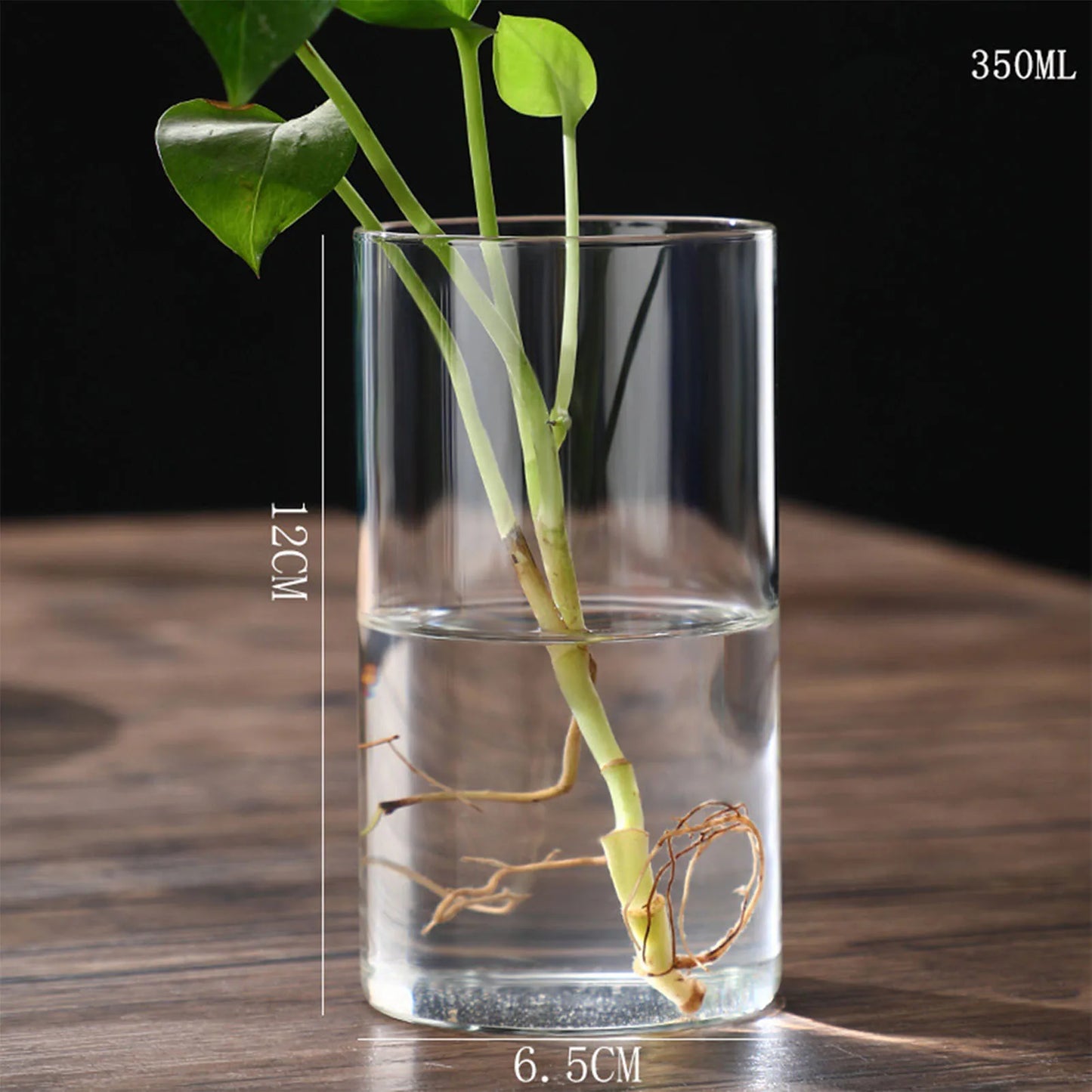 Maceta de vidrio para escritorio con plantas hidropónicas, florero de vidrio transparente, florero cilíndrico para dormitorio, decoración del hogar