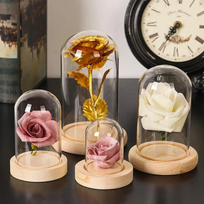 Soporte de exhibición de frasco de vidrio cloche, cubierta de terrario, botella con base de madera, cubierta de acrílico antipolvo, caja de exhibición, caja de flores inmortal