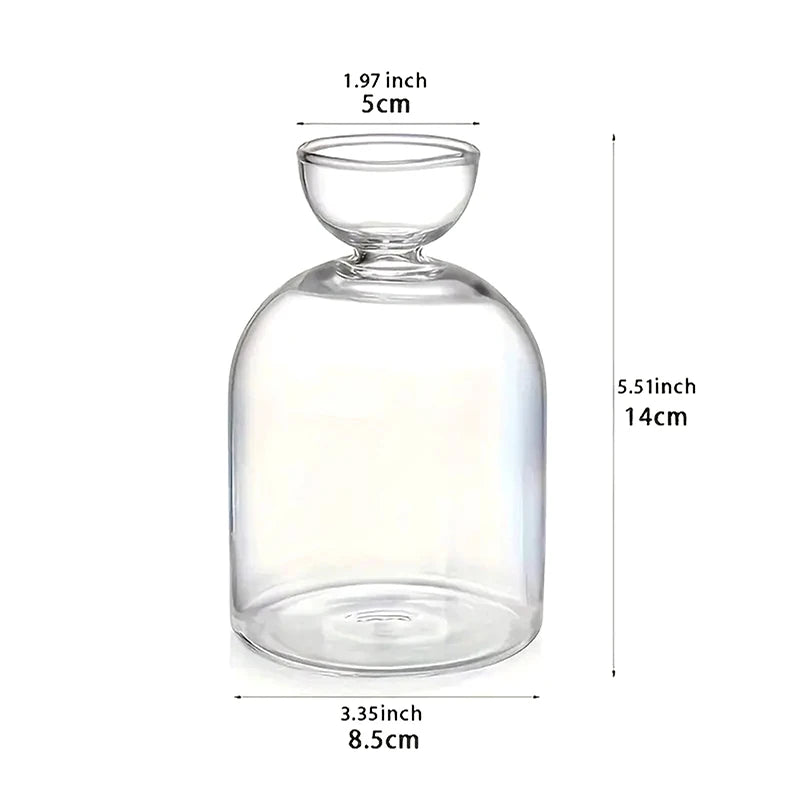 Kit de cultivo de semillas de vidrio para plantas, para amantes de la jardinería, para iniciar semillas de aguacate, jarrón de vidrio transparente.