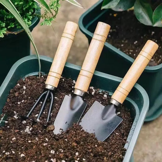 Juego de herramientas para jardinería, para plantas en maceta, pinzas, tijeras, flores, herramientas para jardinería, deshierbe.