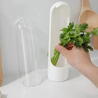 Caja de conservación de verduras frescas de vainilla transfronteriza, a prueba de polvo, antipresión, protección ambiental, dispositivo de conservación de verduras frescas, creativo